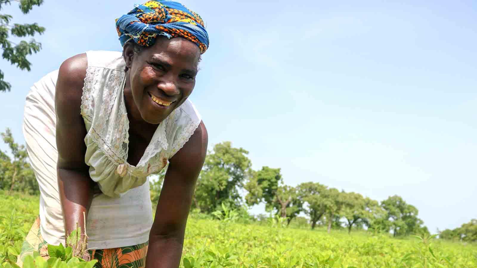 Woman working at the field